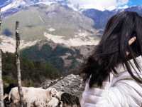 Amazing Lijiang - Enjidi