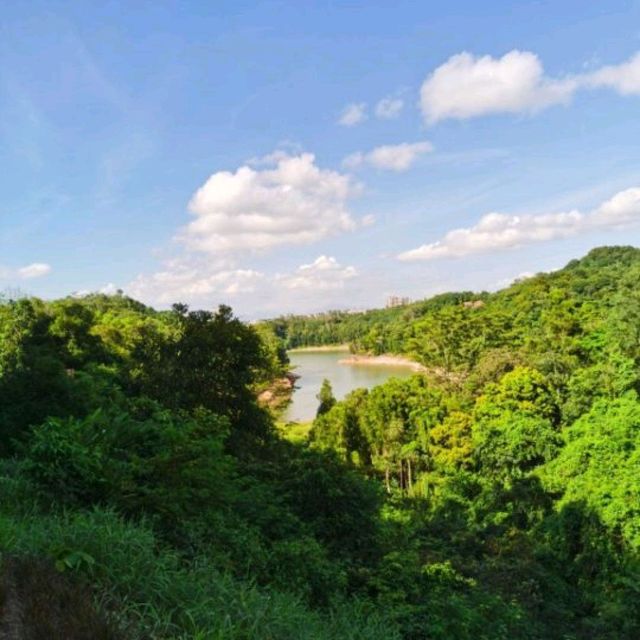 Mount Yangtai Forest Park