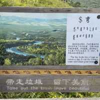 🌳Eergu’Na Wetlands in INNER MONGOLIA