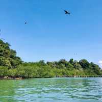 Langkawi Island - Malaysia