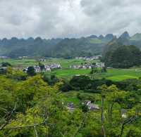 The Ten-Thousand Peak Forest