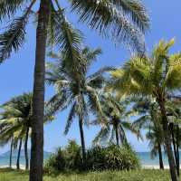 Lovely quiet beach ~Coconut Dream Corridor 