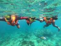 ปิเละลากูน | Phi Phi Island 