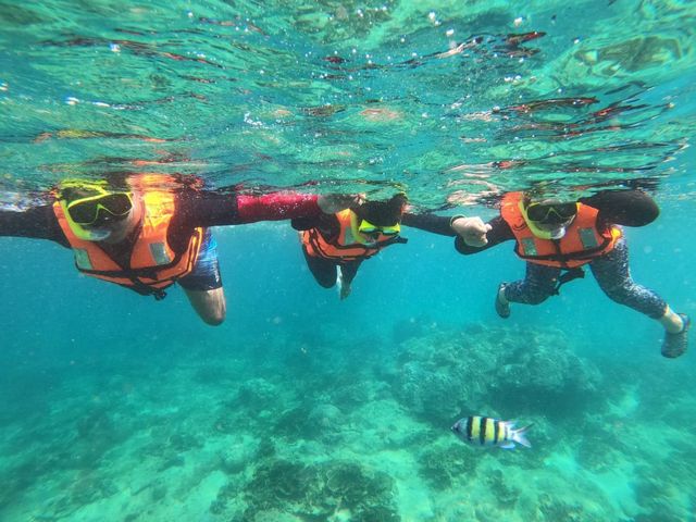 ปิเละลากูน | Phi Phi Island 