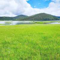 Lakes, grasslands and yaks