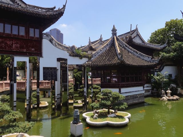 Details at Yu Garden, Shanghai🌿🌱