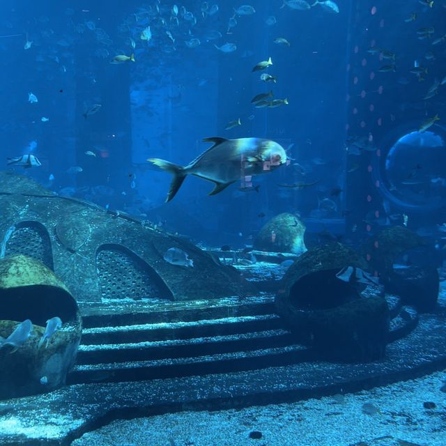 The amazing Atlantis Sanya!