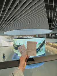 Shanghai Urban Planning Exhibition Hall🇨🇳✈️
