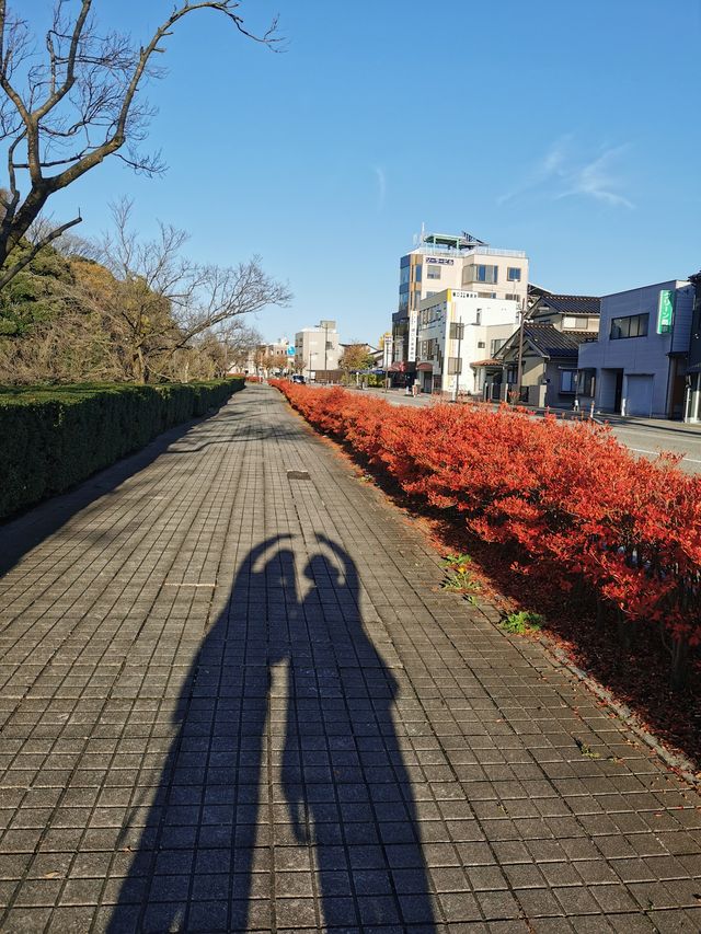 Japan Hokuriku Deep Tour - Searching for Doraemon's Hometown in Takayama City