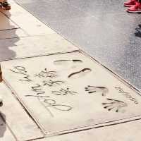 Hollywood | Walk of Fame