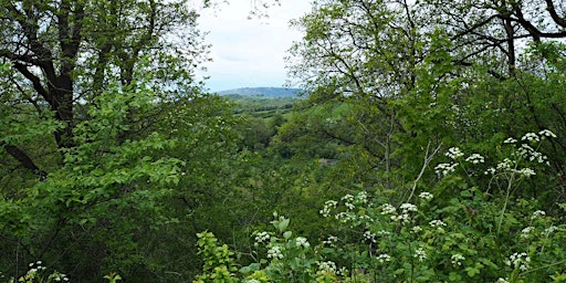 Walk 30 Cressage by Bus 14 miles | Museum of the Gorge Bus Stop