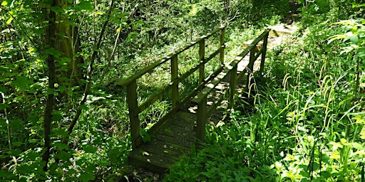 22. Sutton Woods: 5 miles (Bank Holiday) | YHA Ironbridge Coalport