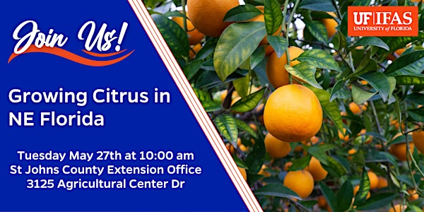 Growing Citrus in NE Florida | 3125 Agricultural Center Dr