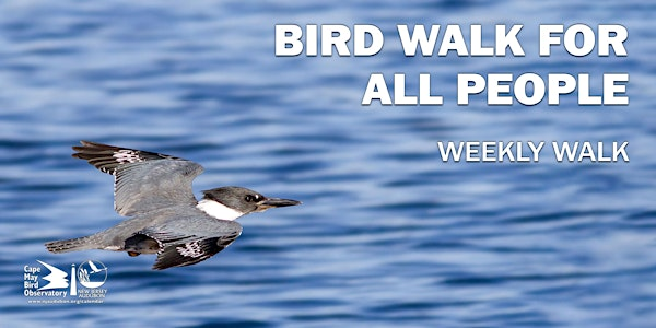 Bird Walk for all People | Cape May Point State Park - Hawkwatch Platform