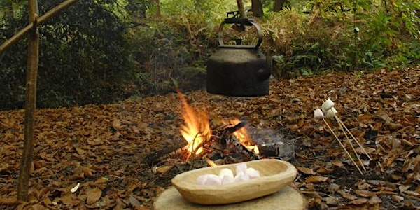 Toddler Forest Fun at Stover Country Park | Stover Country Park