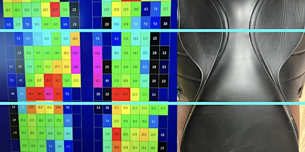 Principles of Correct Saddle Fit | Centaur Biomechanics