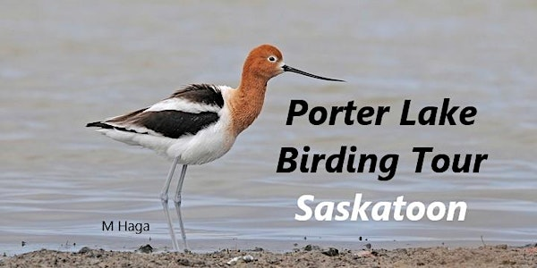 Porter Lake Birding Tour | Fas Gas Plus