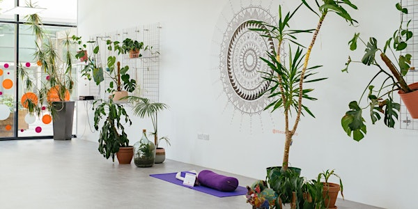 Yoga Nidra | Stanley House