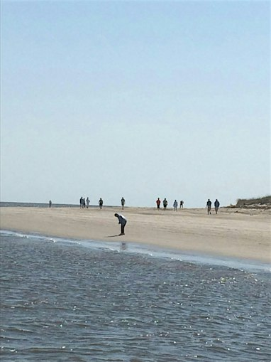 October  Ossabaw Island Beach Ecology Day Trip | Ossabaw Island, Bradley Beach