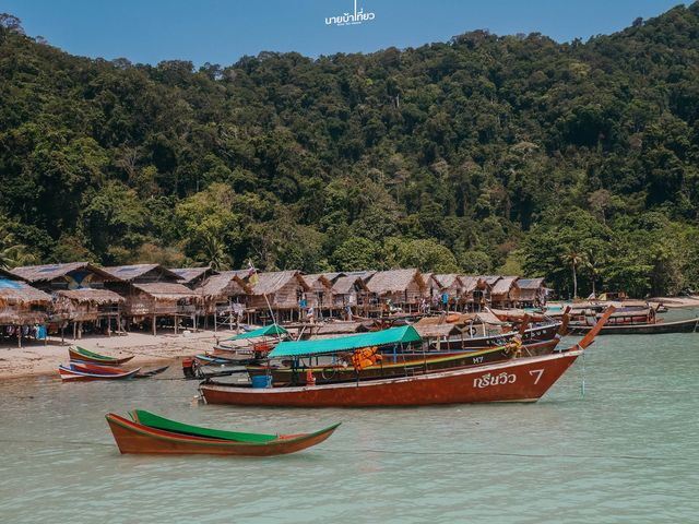 หนึ่งวัน ฟิน ฟิน กับ หมู่เกาะสุรินทร์ จ.พังงา 🇹🇭