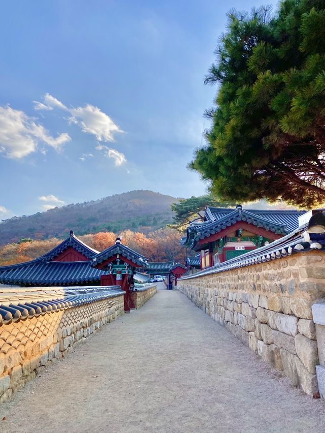 범어사 전경 2