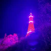 【台灣桃園 巴陵鐵塔】 海拔1314 高地情侶放閃景點