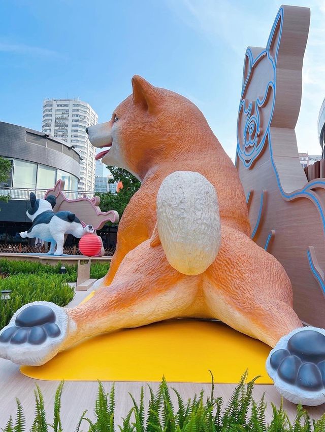 注意‼️汪星人出沒⚠️🐶 