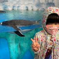 海洋公園返嚟啦！