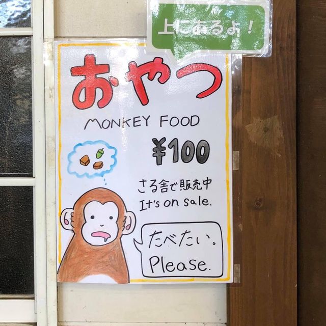 親親大自然🇯🇵😚 高野山猴園・野草園