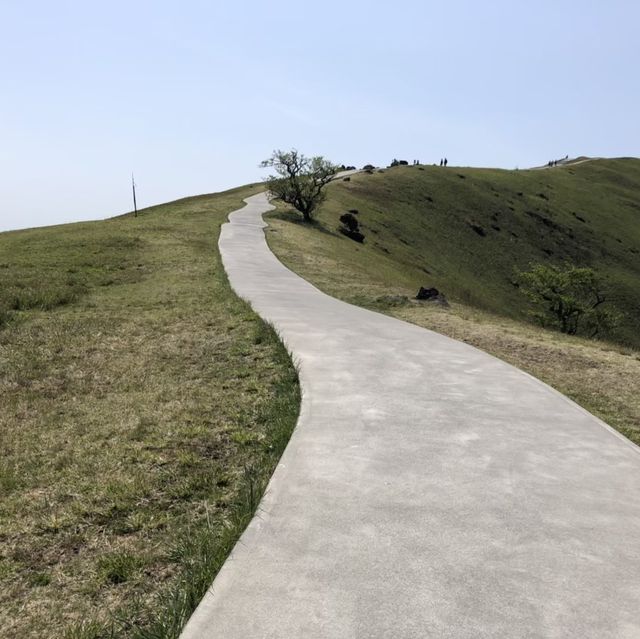 【静岡県】大室山でお鉢めぐり！