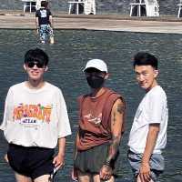 三人行 必有我師焉