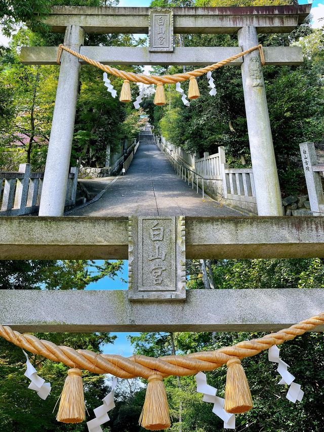 アートな社殿【サッカー神社】足王社に行ってきました。