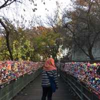 Namsan Tower in Autumn 🍂