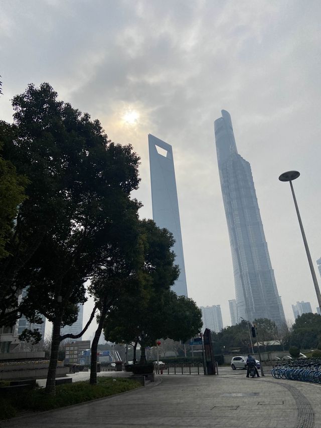 The Towers of Shanghai