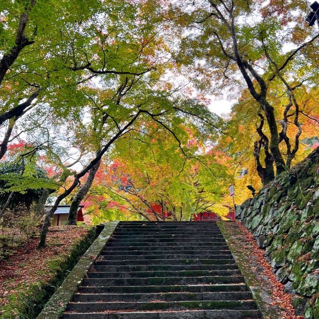 【奈良】歴史ある神社に美しい紅葉