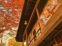 京都・嵐山 『祐斎亭』の紅葉
