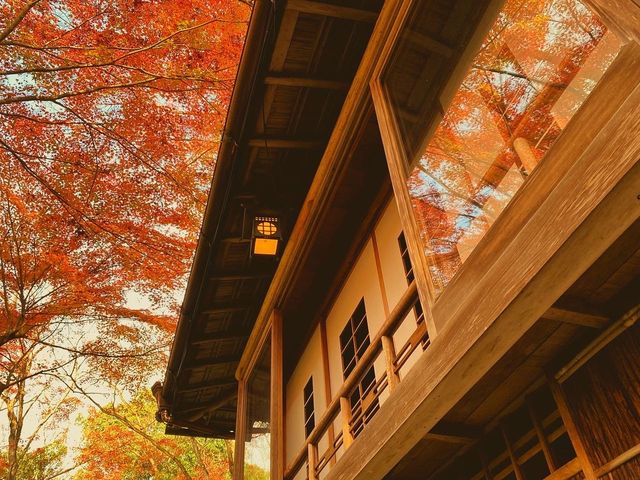 京都・嵐山 『祐斎亭』の紅葉