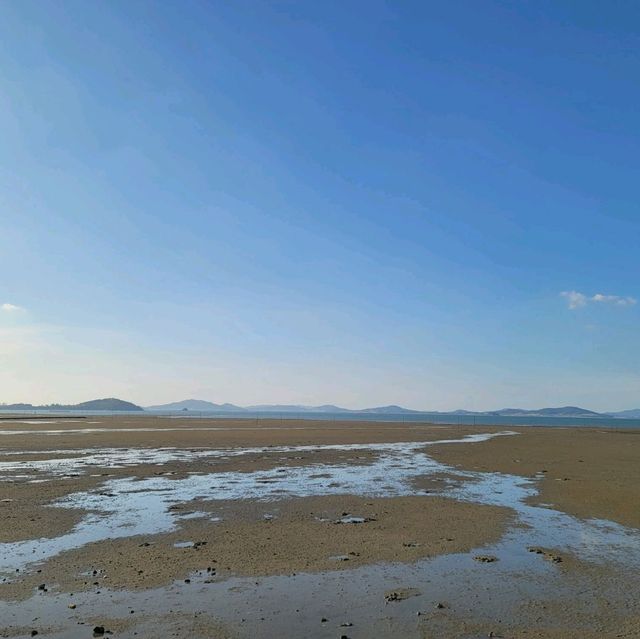 무안 낙지공원 놀이공원