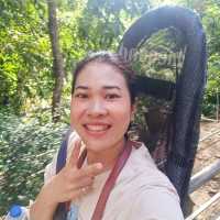 พาไปเล่น gangle coster ที่โป่งแยง เชียงใหม่
