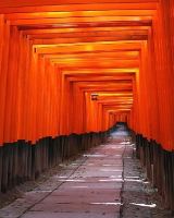 Kyoto (Fushimi Inari)