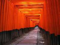 Kyoto (Fushimi Inari)