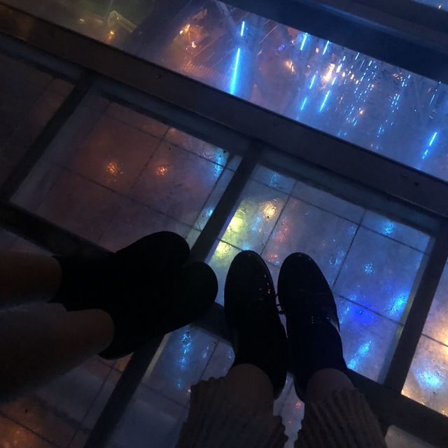 오사카 여행, 덴포잔 대관람차 🎡