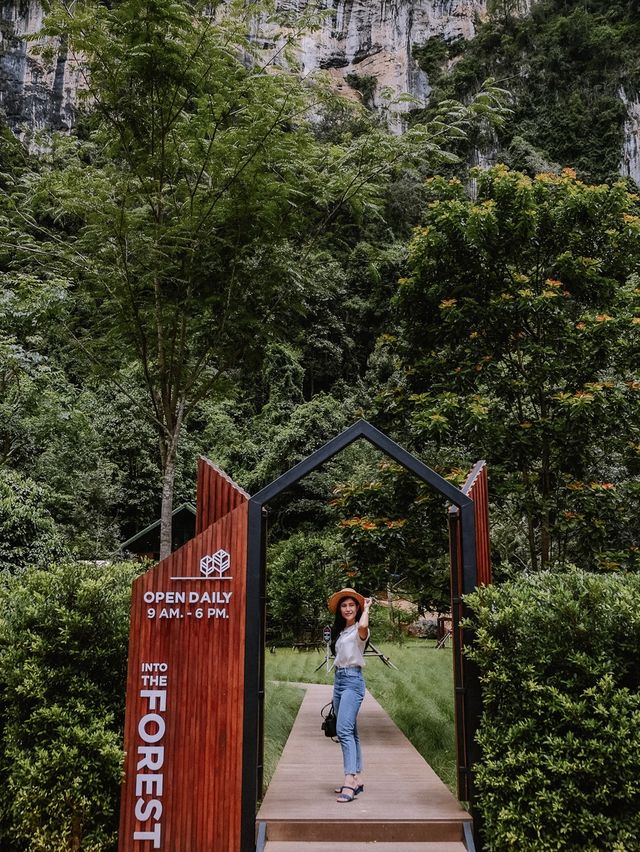 Into the forest 
