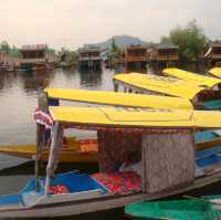 ทะเลสาบดาล (Dal Lake) แคชเมียร์