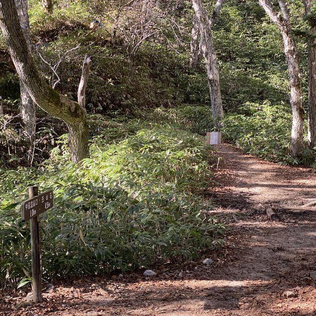 合戦尾根の第一ベンチ