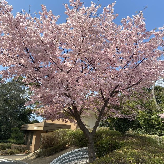 【神戸】明石海峡大橋が一望できるホテル