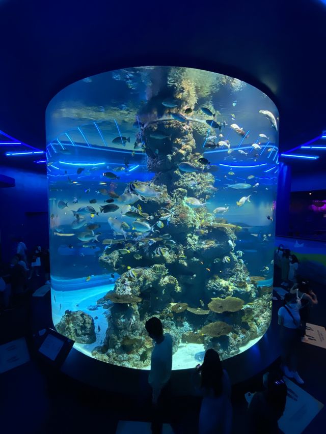 SEA AQUARIUM, SENTOSA, SINGAPORE