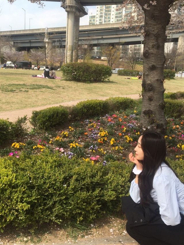 [뚝섬한강공원] 벚꽃놀이는 바로 한강🌸