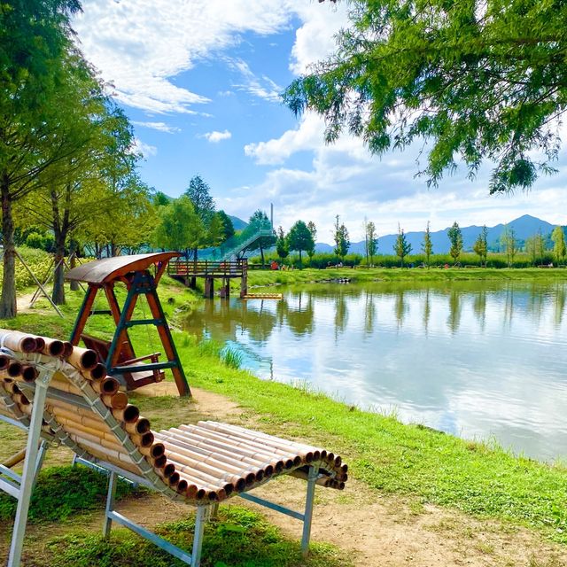 도시락싸서 피크닉 가기좋은 동정호공원 🏞