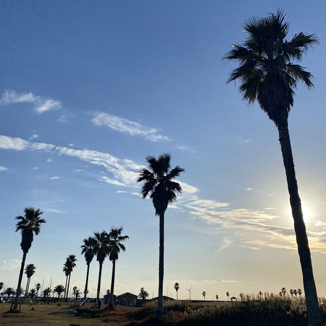 【千葉 銚子】まるで海外！東洋のドーバー屏風ヶ浦